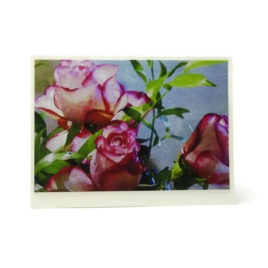 Pink Roses Card (Blank)