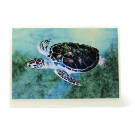 Small Sea Turtle Card (Blank)