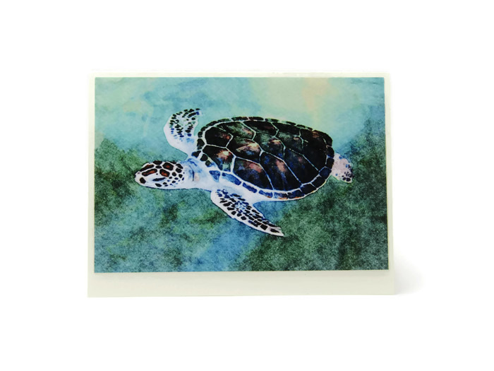 Baby Sea Turtle Greeting Card, Blank Inside Card, All Occasion Cards, Turtle,  Turtle Stationery -  Israel