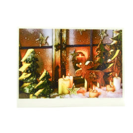 Moose Window Christmas Card